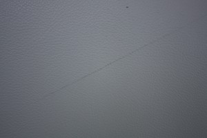 IMG_6823